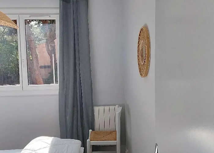T3 Climatise Avec Wifi, Terrasse, Parking - - Fr-1-388-82